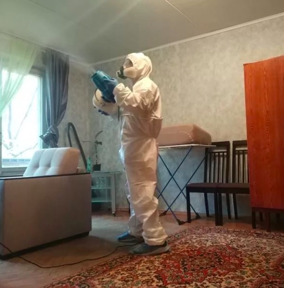 дезинсекция квартиры в Кронштадте